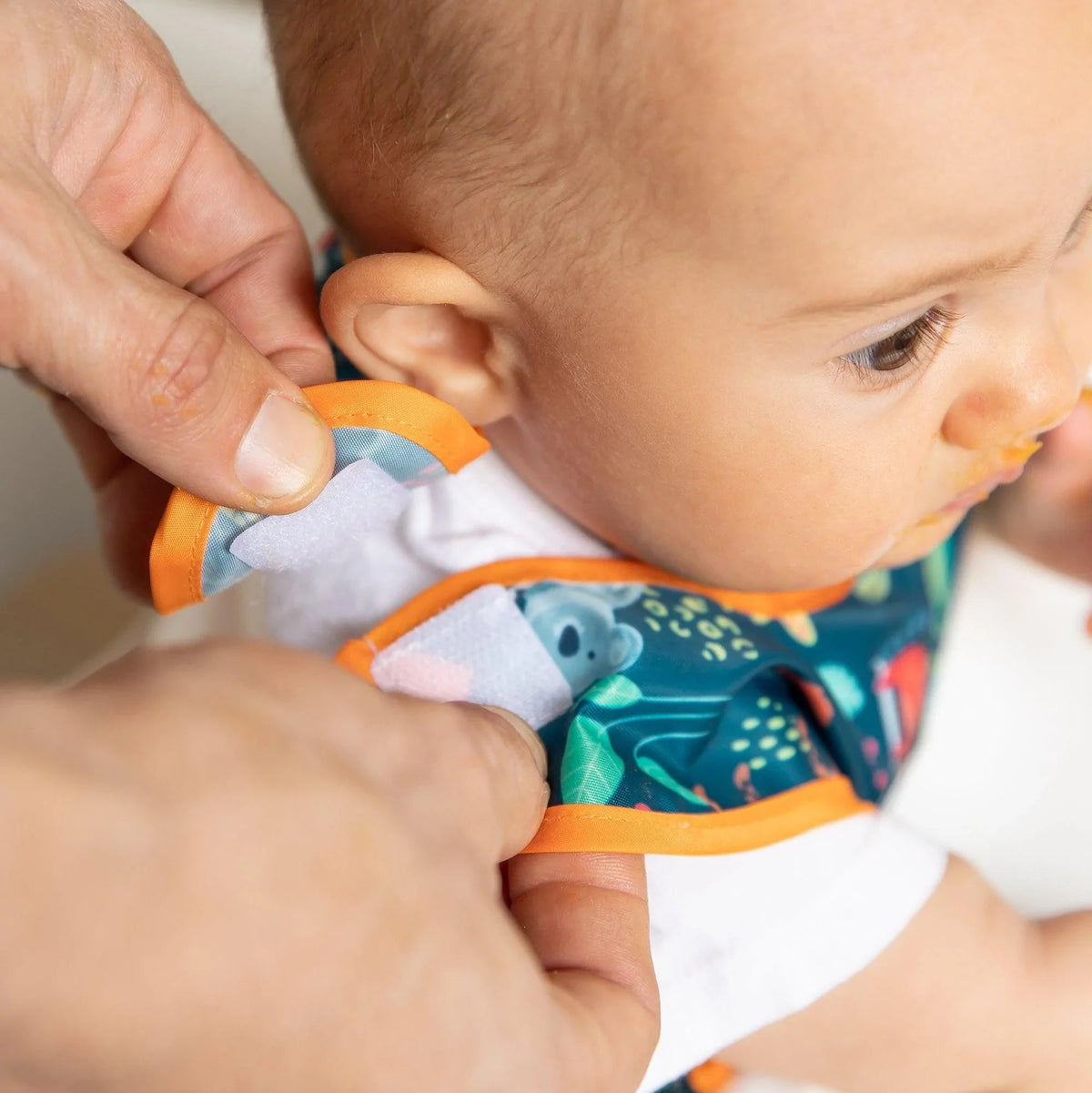 Starter Bib for Babies 6 to 24 months - Jungle + Animal Baby | Bumkins