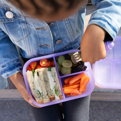 Purple Jelly Silicone Bento Box for Food Storage Baby | Bumkins