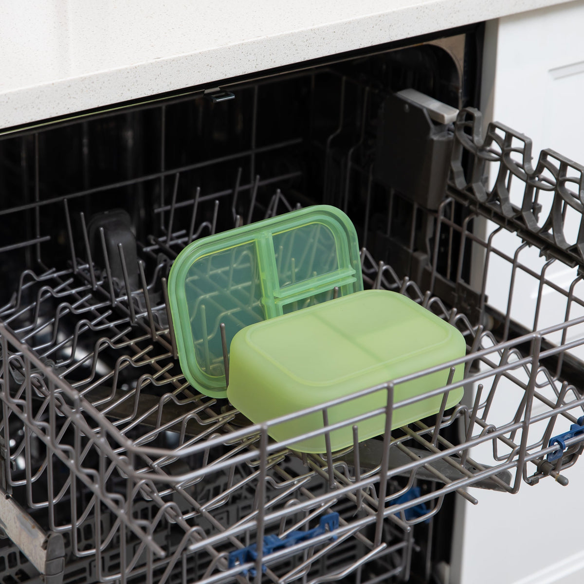 Green Jelly Leakproof Bento Box for Meal Prep, Food Storage | Bumkins