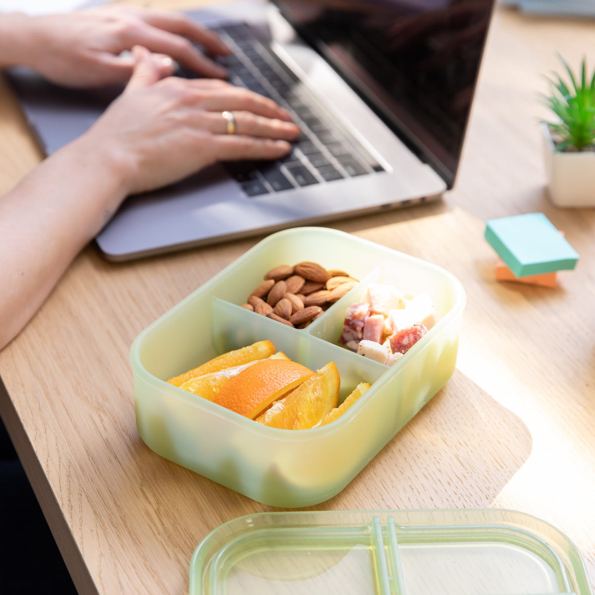 Silicone Bento Box 3 Section 2 Pack: Aqua Jelly | Bumkins