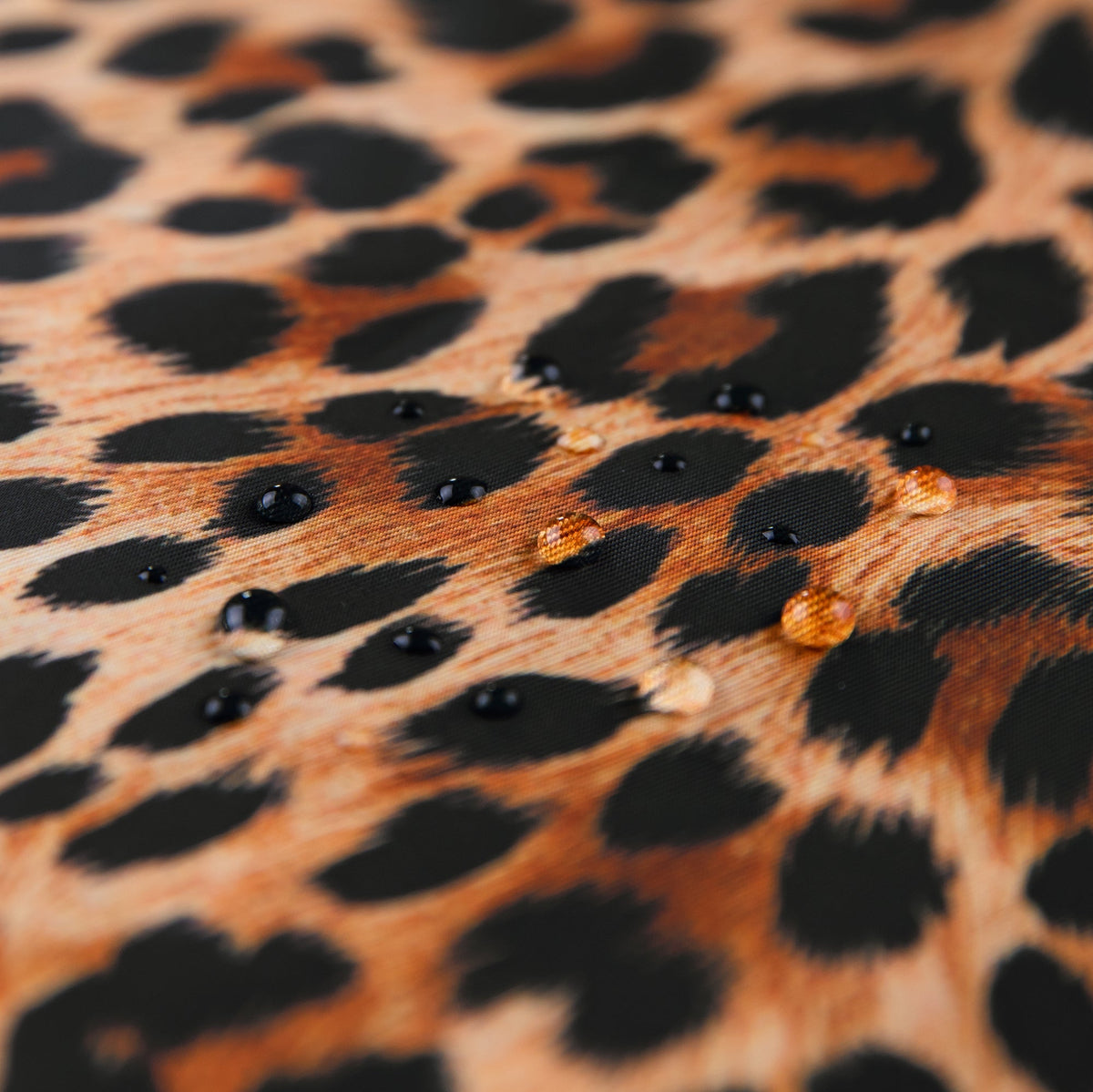 The Commuter Deluxe 5-Piece Set: Leopard | Bumkins